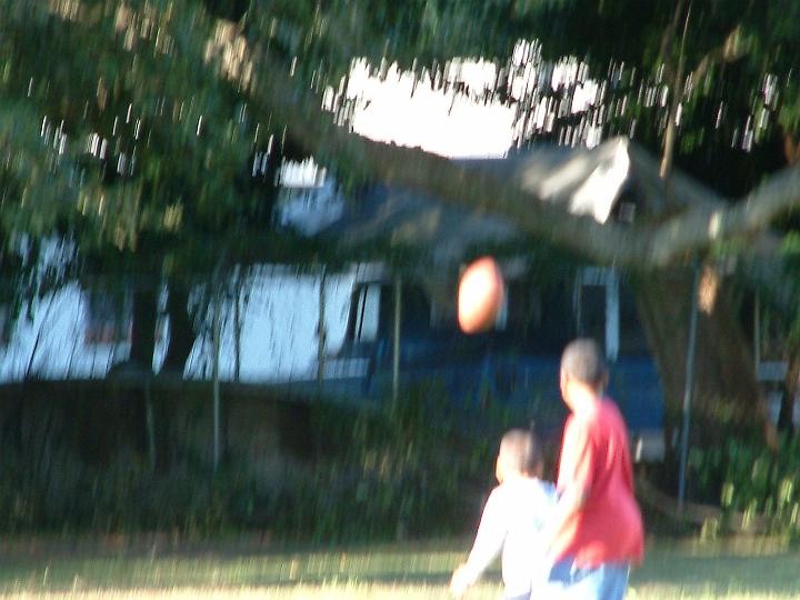 dscf1806.jpg