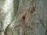 DSCF2525