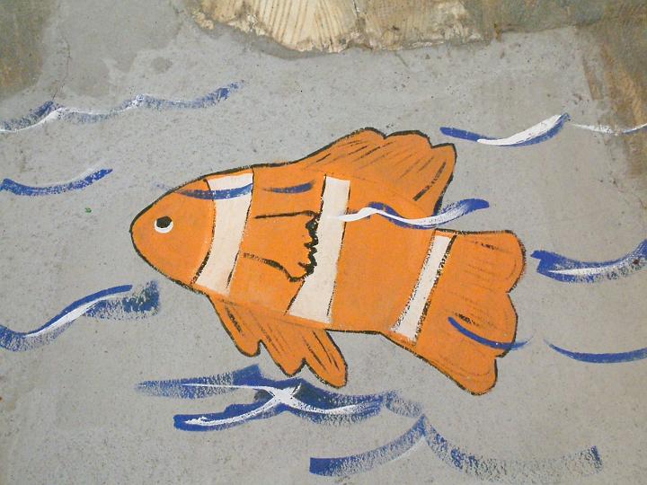 dscf1241.jpg